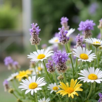 Wildflower meadow arrangement with lavender and pale pink stems