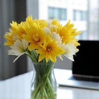 Close up of congratulations flowers in an office